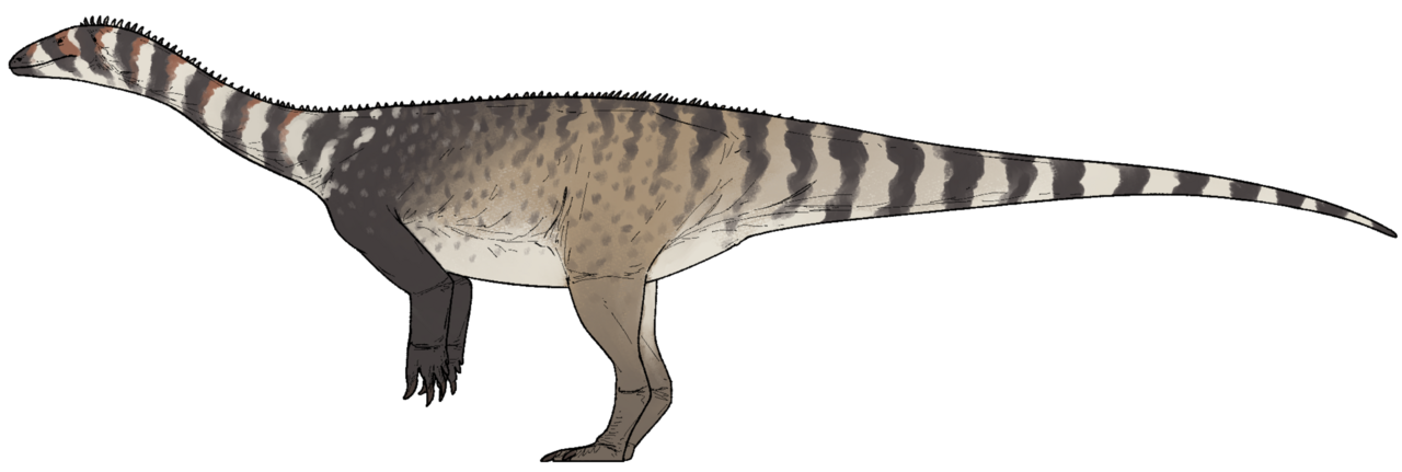 Zimbabwe dinosaur musango shows region’s triassic beasts weren’t all the same 1 Life reconstruction of Musango matusadonaensis
