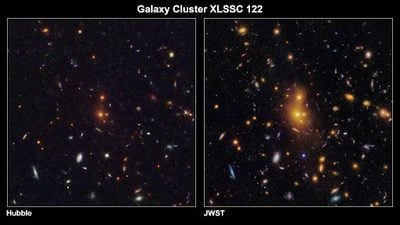 james webb xlssc 122 galaxy cluster