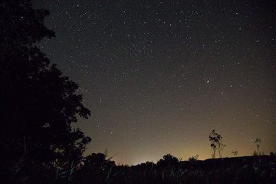Night sky filled with stars