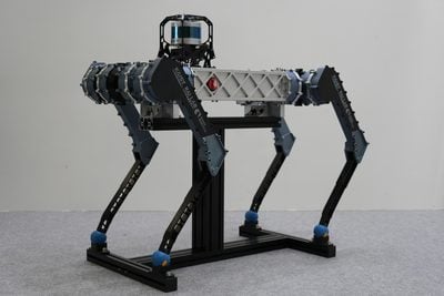 south korea robot dog raibo2