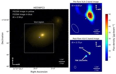Tde 2023mfm finds an unusual wandering black hole hiding off-center 8 tde 2023mfm black hole